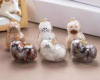 Aangepaste naam kattenhaar souvenir sleutelhanger, huisdier vacht geheugen kat vormige capsule doorzichtige kattenhaar aandenken container huisdier gedenkteken cadeau voor kattenbezitters
