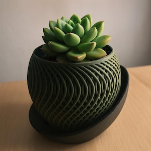 Puede incluir: Una planta suculenta verde en una maceta verde oscuro texturizada, impresa en 3D, con un platillo a juego. La planta tiene hojas verdes gruesas con puntas rojizas. La maceta tiene un patrón tejido.