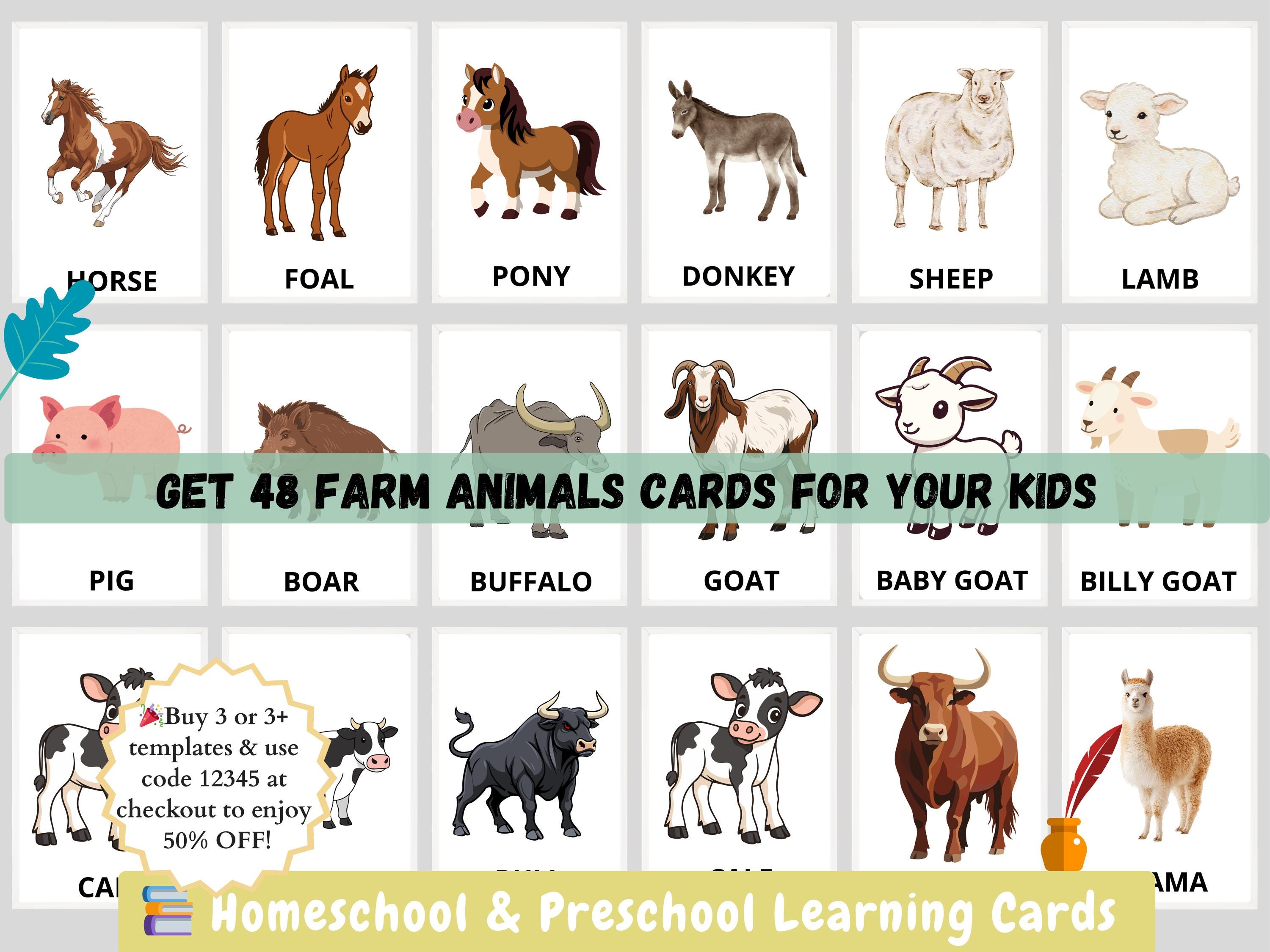 48 Animals Flashcards Montessori Materials Animal Flashcards Montessori ...