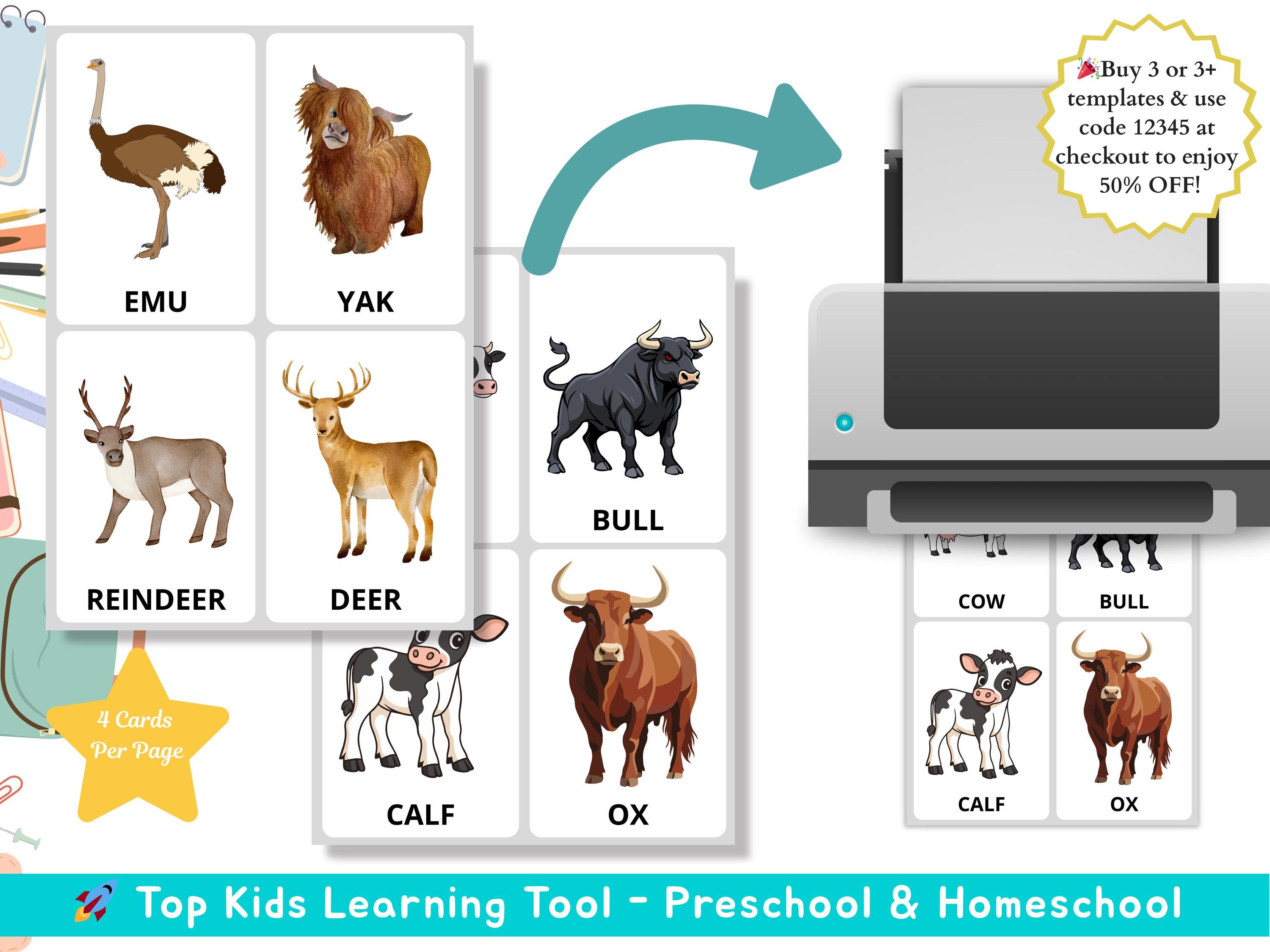 48 Animals Flashcards Montessori Materials Animal Flashcards Montessori ...