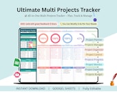 Multiple Projects Tracker - multi projects - projects tracker - multi phase project - project task tracker - project time tracker