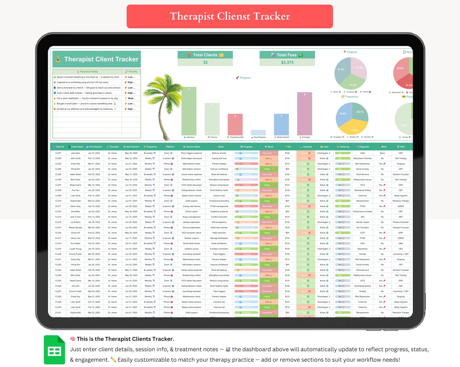 Therapist Client Tracker - Therapist Scheduler - Therapist Caseload ...