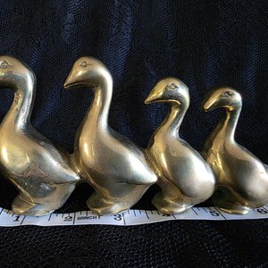 May include: Four brass goose figurines in a row, each with a detailed design. The geese are in various sizes, with the largest measuring approximately 3 inches in length. The figurines are on a black surface.