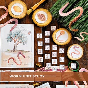 Worm Investigation Charlotte Mason Homeschool Printable Resource Nature Study Morning Basket Educational Activity Learning Bundle Worksheets