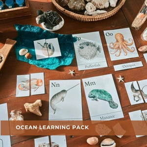 Attività con il cestino del mattino sull'oceano, pacchetto per la classe prescolare a tema oceano, fogli di lavoro stampabili per l'apprendimento a casa, libro Montessori per bambini piccoli