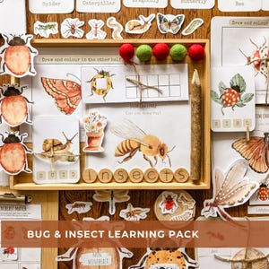 Bug Morning Basket Activities Homeschool Learning Charlotte Mason Printable Resource Unit Study Educational Prints Preschool Busy Binder PDF