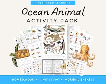 Ocean Morning Basket Activities Preschool Ocean Theme Classroom Bundle Printable Homeschool Learning Worksheets Montessori Toddler Busy Book