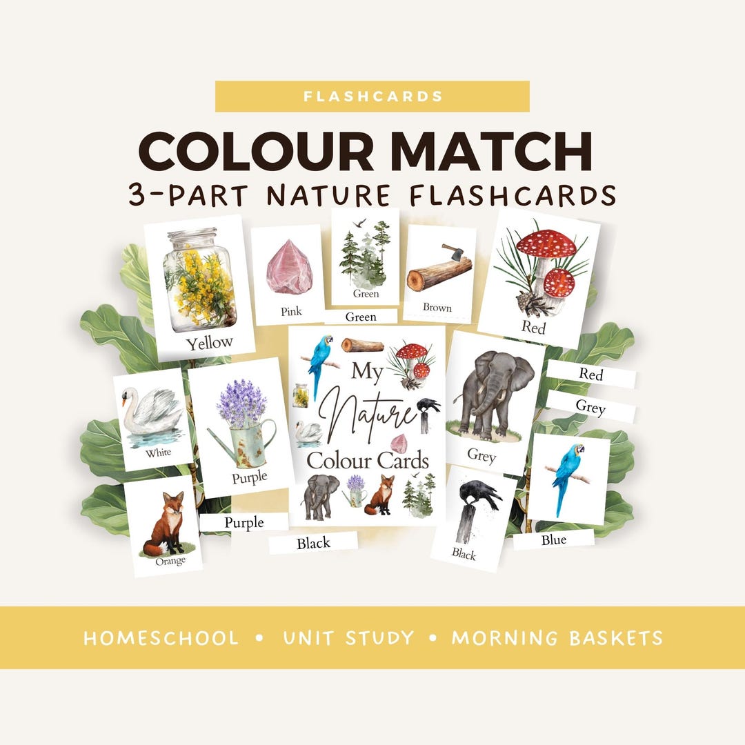 Morning Menu Printable Color Flashcards: Montessori Nature Homeschool ...