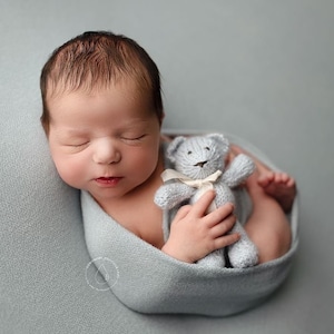 Baby Blue Teddy Bear image 1