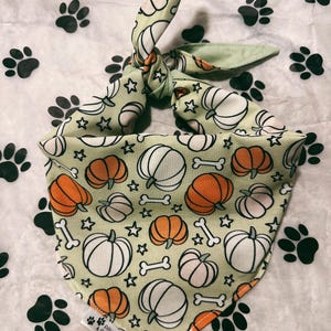 May include: A light green dog bandana with a pattern of orange and white pumpkins, bones, and stars. The bandana is tied in a knot. The words "PAWS & PRINTS" are printed on the bandana.