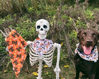 Hondenbandana Halloweenstrikken