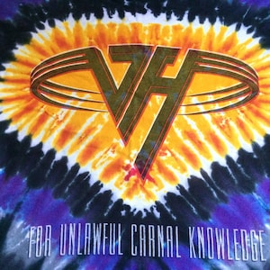 VAN HALEN 1991 For Unlawful Carnal Knowledge Tour Tshirt Vintage Band t Shirt