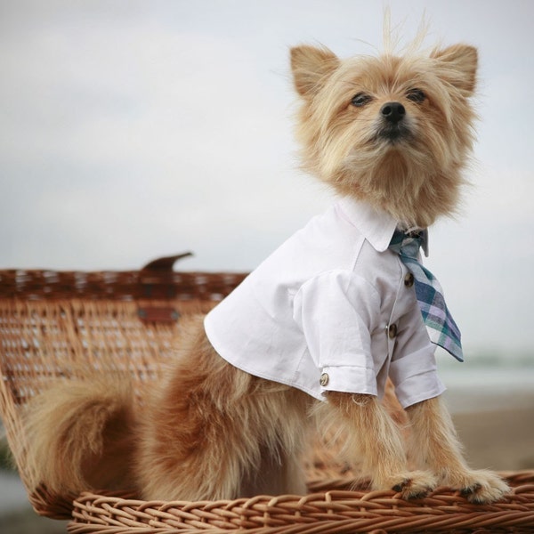 The Rover Necktie - Small (shirt sold separately)