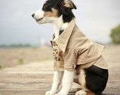 The Westerly Dog Trench Coat