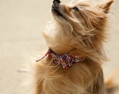 Red Floral Pointed Dog Collar