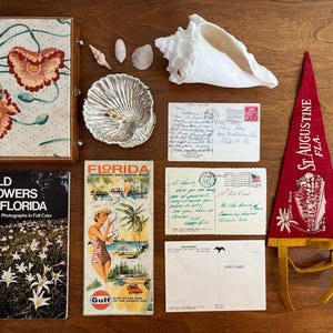 Vintage Florida-vignet: portemonnee sigarenkistje, kaart jaren 60, schelpen, bloemenboek, wimpel en ansichtkaarten