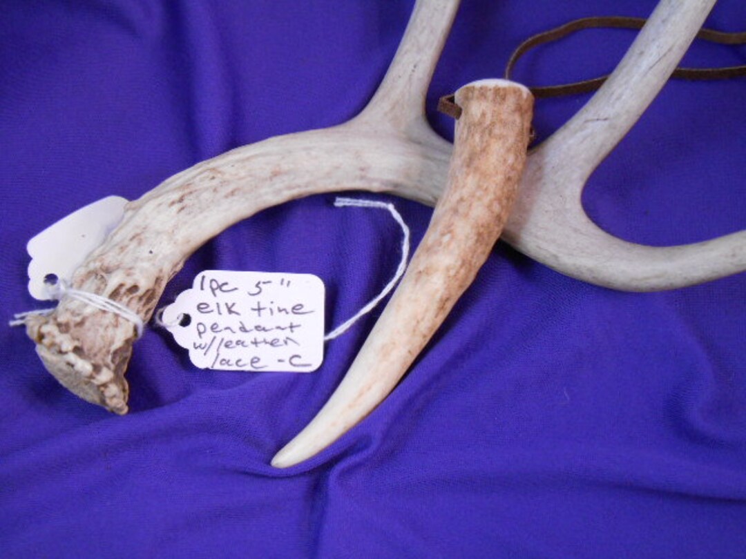 5 Elk Tine Tip Pendant With Leather Lacec Etsy