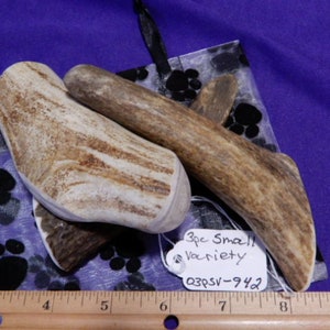 3 Piece Small Variety Deer Antler Dog Chews for Heavy Chewers LESS than 10 lbs., O3psv-942