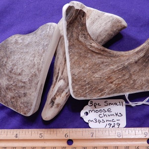 3 Piece Small Moose Chunks Deer Antler Dog Chews for Moderate Chewers LESS than 10 lbs.,M3psmc-1929