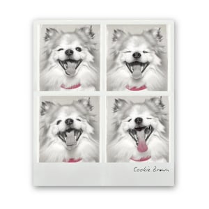 Ritratto personalizzato di un animale domestico - Stile Polaroid con tesserino scolastico / Cornice IKEA compatibile / Regalo carino per cani o gatti per mamme di animali domestici / Decorazione divertente e personalizzata per la stanza dedicata all'arte degli animali domestici