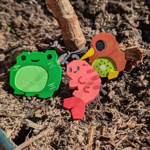 Könnte beinhalten: Drei farbenfrohe, cartoonartige Holzausschnitte einer Frosch, einer Garnele und eines Vogels mit einer Kiwischeibe. Der Frosch ist grün, die Garnele ist rosa und der Vogel ist orange. Die Ausschnitte liegen auf brauner Erde.
