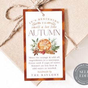 Può includere: Un'etichetta regalo rettangolare con un bordo a quadri marrone e arancione e le parole "It's beginning to smell a lot like AUTUMN". L'etichetta presenta un'illustrazione ad acquerello di una fetta d'arancia, spezie e vegetazione.