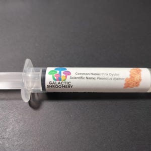 Pink Oyster Mushroom LC 10ml syringe