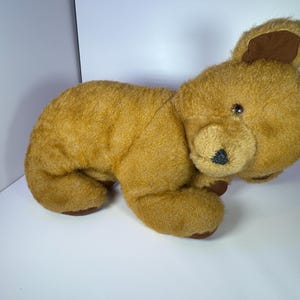 Pedigree Teddy Bear - Etsy UK
