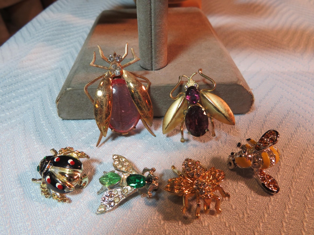 Vintage 6 Bug Insect Pins Brooches Fly Lady Bug Beetles Bees 2646 - Etsy