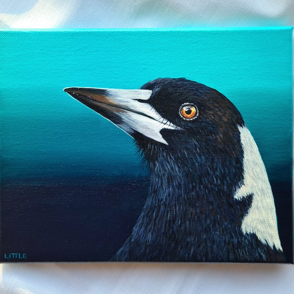 Australian Magpie painting by Deanne Little, acrylics on stretched 8x10 inch canvas, 20.32 x 25.4 cm, Australian Bird Art, Australian Bird