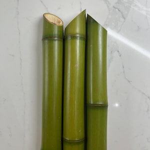Fresh Cut Bamboo Pole: 2&quot; Diameter, 45 Degree Angle ( your choice of length)