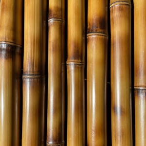 May include: Close-up of several bamboo stalks. The bamboo is a warm, golden brown color with darker brown bands at the joints. The stalks are arranged vertically, creating a natural, textured pattern. The bamboo has a smooth, glossy finish.