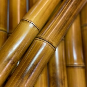 Flame cured 1” Diameter Bamboo Pole (Your choice of length