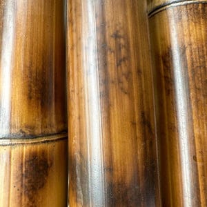 Flame Cured Bamboo Poles - 1.5 Diameter - Wedding Arches & Crafts