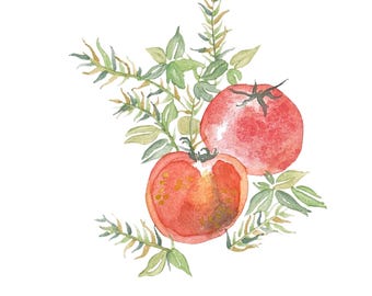 Watercolor Art Print: Tomatoes
