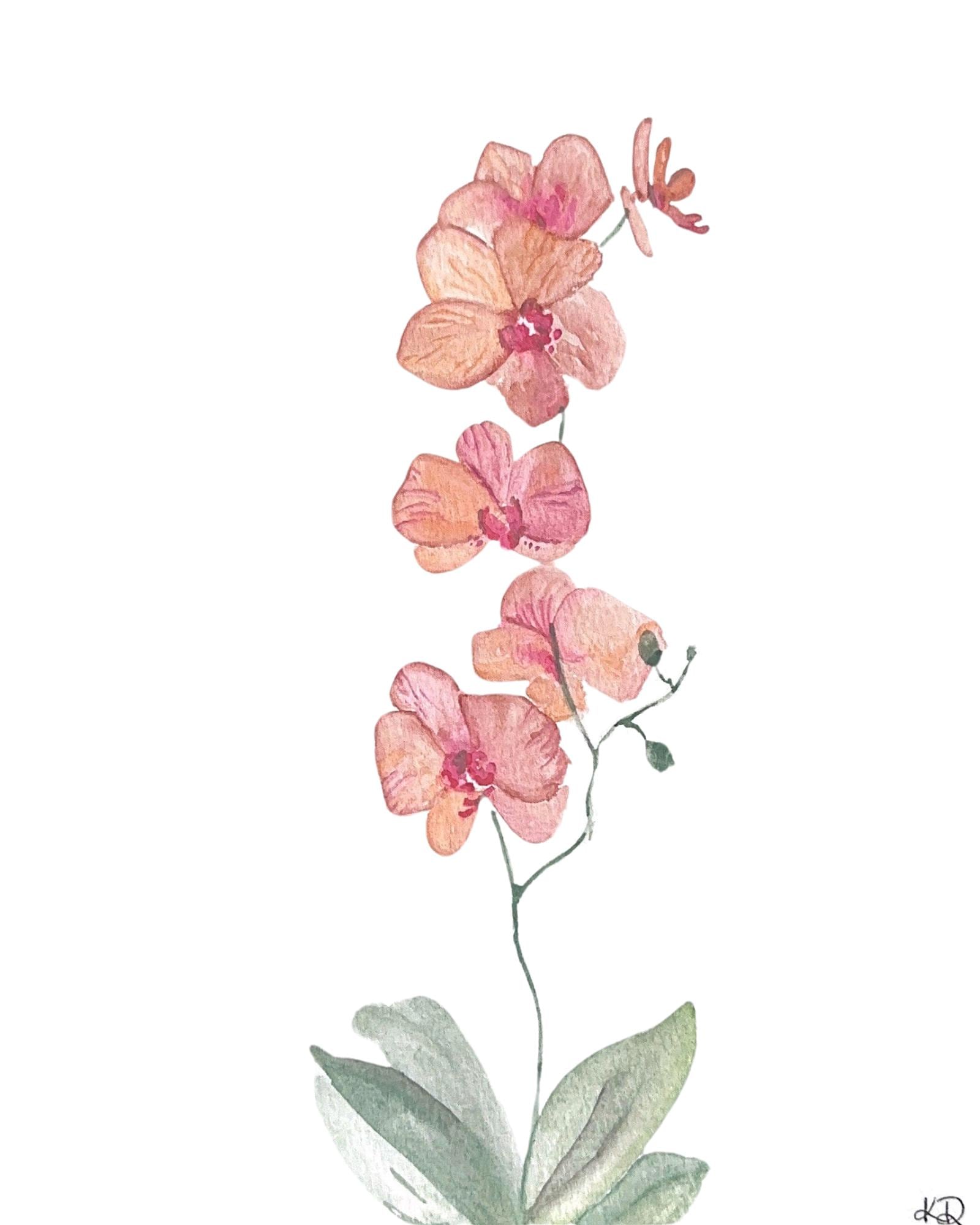 Watercolor Art Print: Pink Orchid