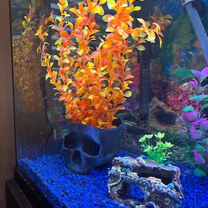 Fish Tank Decor