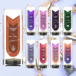 Personalized Clear Trophy Award Plaque, Company Anniversary Employee Awards Ceremony, Corporate Trophy Award, Customizable Award Trophee