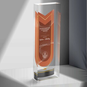 Personalized Clear Trophy Award Plaque, Company Anniversary Employee Awards Ceremony, Corporate Trophy Award, Customizable Award Trophee
