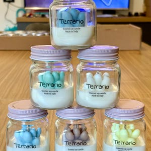 Mini cactus terrarium candle, 100% soy wax and CKOne fragrance.
