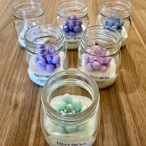 Mini cactus terrarium candle, 100% soy wax and CKOne fragrance.