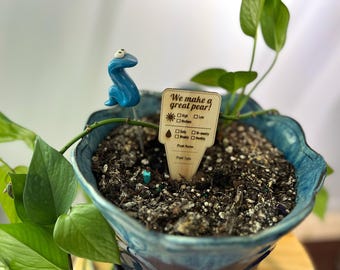Funny Plant Stakes Set | Sassy Plant Markers with Care Tips | Indoor Plant Decor | Plant Lover Gift | Garden Accessories