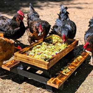 Handmade Chicken Feeder Picnic Table | 19