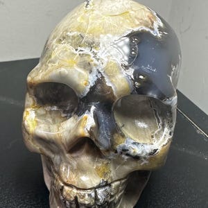 Volcano agate skull