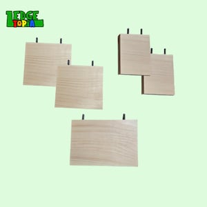 Chinchilla Ledges Set 5pc Kit - Kiln Dried Pine Shelves, Cage Setup Bundle - Degu, Rats, Birds, Squirrel Steps - Mounting Hardware Included