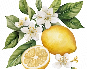 Watercolor Lemon Clipart, Fruit Branches Clipart, Printable Watercolor Clipart, Junk Journal, Paper Craft, Digital Download