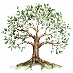 Watercolor Tree of Life Clipart, Oak Family Tree, Botanical Clipart, Junk Journal, Paper Crafts, Digital Download,