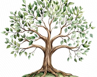 Watercolor Tree of Life Clipart, Oak Family Tree, Botanical Clipart, Junk Journal, Paper Crafts, Digital Download,