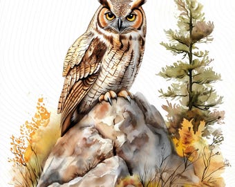 Watercolor Owl Clipart, Owl on Rock Clipart, Printable Watercolor Clipart, Paper Craft, Junk Journal, Digital Download
