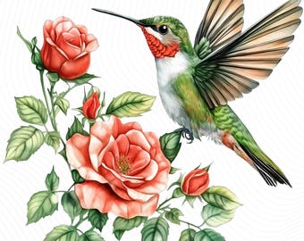 Hummingbird with Roses Clipart, Spring Floral Clipart, Printable Watercolor Clipart, Paper Craft, Junk Journals, Digital Download